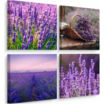 Obraz Obrazy do Kuchyně SADA Květiny z Pole LEVANDULE Příroda Rostliny 60x60
