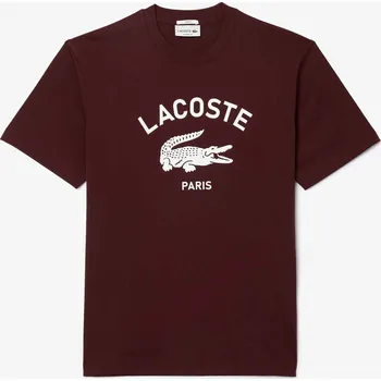 Pánské tričko Tričko Lacoste Burg BZD 1055460 L