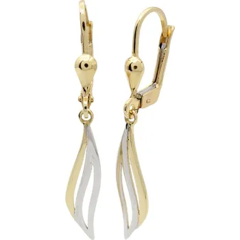 Prsten Zlaté náušnice FK1263