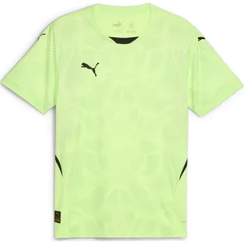 Pánské oblečení Tričko Puma Green 1033962 XL