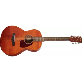 Elektroakustická kytara Elektroakustická kytara Ibanez PN12MHE-OPN