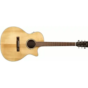 Elektroakustická kytara Elektroakustická kytara Tasman TA200GS-CE NT