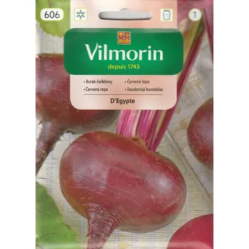 Semeno Červená řepa D'Egypte (egyptská, zploštělá)