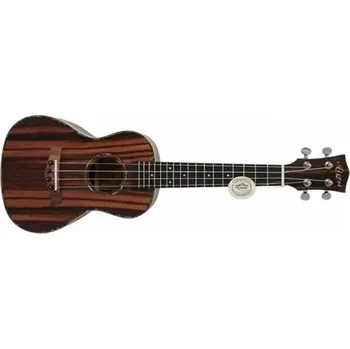 Ukulele Ukulele koncertní se snímačem Aiersi SU204AE