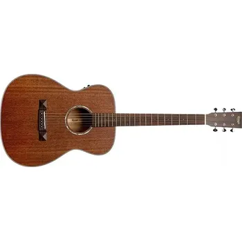 Elektroakustická kytara Elektroakustická kytara Tasman TA150O-E NT