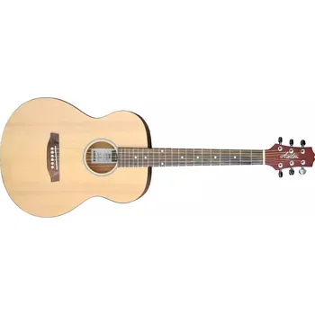 Akustická kytara Akustická kytara Ashton JJR20 NTM