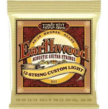 Struna pro kytaru a smyčcový nástroj Struny kovové pro 12strunnou kytaru Ernie Ball EB 2013 - 10/48