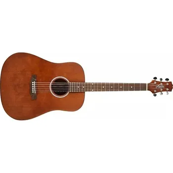 Akustická kytara Akustická kytara Ashton D20 MS