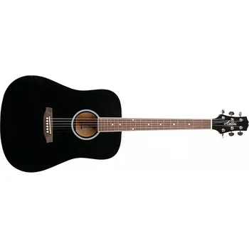 Akustická kytara Akustická kytara Ashton D20 BK