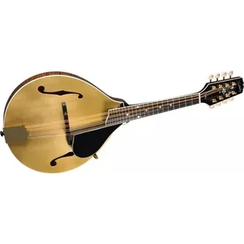 Mandolína Mandolína Kentucky KM-508