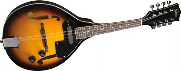 Mandolína se snímačem Rover RM-25E