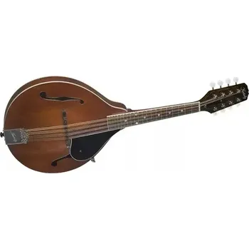 Mandolína Mandolína Kentucky KM-156