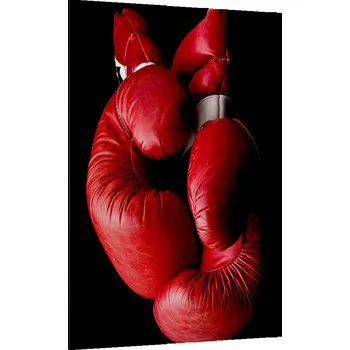 Obraz Foto obraz na plátně canvas 70x100 sport obývací pokoj ložnice na zeď velký