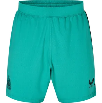 Pánské kraťasy Kraťasy Castore Billard 1018405 S