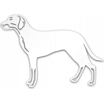 Samolepicí dekorace na vozidlo SAMOLEPKA NA AUTO HORSKÁ SLUŽBA POLSKÝ STŘÍBRNÁ ODRAZOVÁ