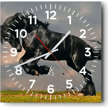 Hodiny Kuchyňské nástěnné hodiny 30x30 Zvířata Skleněné hodiny do obýváku Moderní Tiché