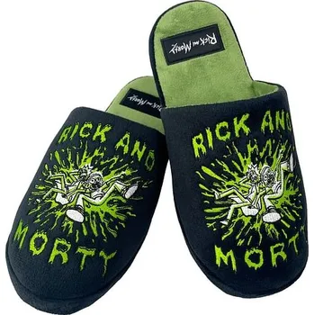 Pánské pantofle Groovy Pantofle Rick and Morty