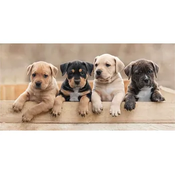 JERRY FABRICS Osuška PES 70 x 140 cm