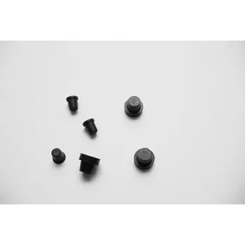 TOURMAX Pryžové zátky průchodů karburátoru Box of 10 Honda GL1000 Goldwing/LTD CPP-101