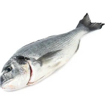 Maso a ryba FJORU BIO Pražma královská kuchaná