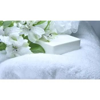 Ručník Tibex Ručníček BERYL bílá 30 x 30 cm