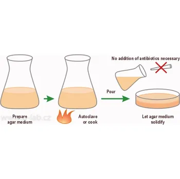 Průmyslové lepidlo Selektivní LB média s antibiotiky (Typ média / antibiotikum: LB-Agar (Luria/Miller) / Amp50, Vlastnosti: s vysokým podílem solí Ampicillin: koncová koncentrace 50 µg/ml, Balení: 2,5 kg, Obal: plast)