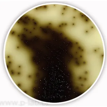 Hnojivo Bile Esculin Azide Agar (Popis: pro mikrobiologii, Balení: 500 g, Obal: plast)