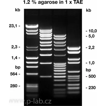 AGARÓZA NEEO ULTRA-QUALITY Roti®garose (Čistota: Pro DNA/RNA elektroforézu, Balení: 1 kg)