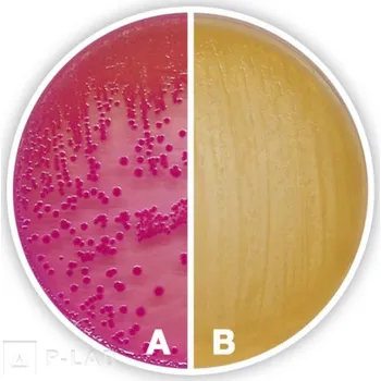 Hnojivo Agar MacConkey (Popis: acc. to Ph. Eur./USP, pro mikrobiologii, Balení: 1 kg, Obal: plast)