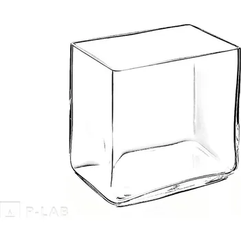 Vana skleněná (Výška (mm): 100, Délka (mm): 100, Šířka (mm): 200, Balení (ks): 1)