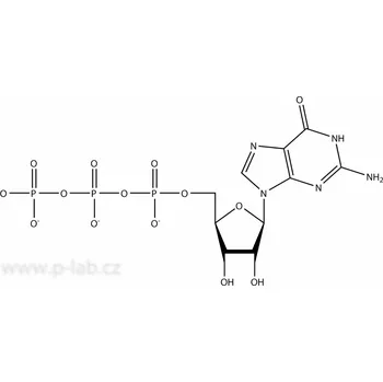 Průmyslové lepidlo GTP (Guanosintrifosfát) (Čistota: 98 %, 100 mM roztok, Balení: 250 µl, Obal: plast)
