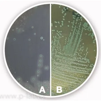 Hnojivo Listeria Chromo-Agar (základ) (Popis: pro mikrobiologii, Balení: 100 g, Obal: plast)