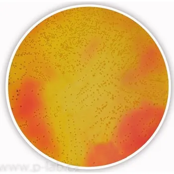Hnojivo Mannitol Salt Agar (Popis: acc. to Ph. Eur./USP, pro mikrobiologii, Balení: 500 g, Obal: plast)