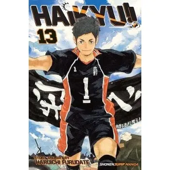 Beletrie pro dospělé Haikyu!! 13