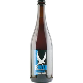 Pivo Raven Sky APA