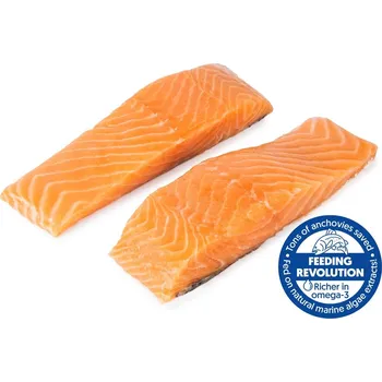 Maso a ryba FJORU ASC Losos obecný 2 porce s kůží FEEDING REVOLUTION