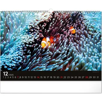 Kalendář Oceán 2025 - nástěnný kalendář