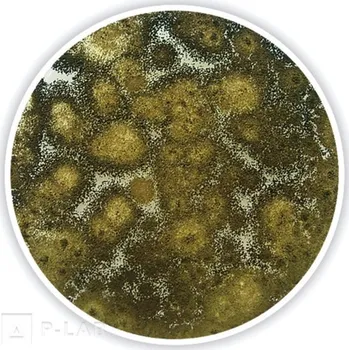 Hnojivo Agar bramborový s glukózou (PDA médium) (Popis: acc. to Ph. Eur./USP, pro mikrobiologii, Balení: 2,5 kg, Obal: plast)