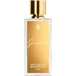 Marc-Antoine Barrois Ganymede U EDP