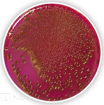 Hnojivo Endo-Agar (základ) (Popis: pro mikrobiologii, Balení: 500 g, Obal: plast)