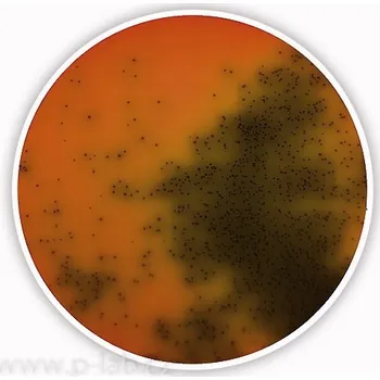 Hnojivo Agar Palcam Listeria (základ) (Popis: pro mikrobiologii, Balení: 500 g, Obal: plast)