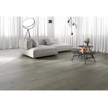 Dlažba ARGENTA BERRY & LOIRA AC419 25 cm x 150 cm x 0,9 cm šedá 1,13 m2