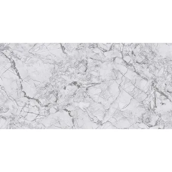 Dlažba DLAŽBA FORZA GREY POLER 60X120