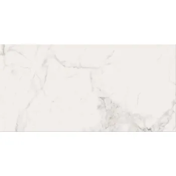 Dlažba DLAŽBA IKARUS WHITE MAT 29,8X59,8