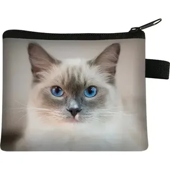 Peněženka Roztomilá mincová peněženka s kočičím potiskem - 13