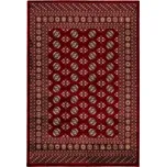 Kusový koberec Ariana 880 red 120 x 170 cm 120 x 170 cm