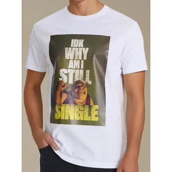 Sinsay - Tričko Shrek - bílá - 7284F-00X - 7284F-00X-L