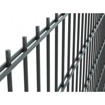 Plot RETIC 2D panel DOUBLE 2500 mm × 5/4/5 mm ZN+PVC RAL7016 - 1030 mm