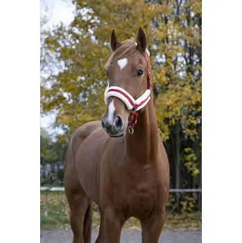 Vybavení pro koně Stájová ohlávka Norton Confort nylonová s beránkem červená vel. pony