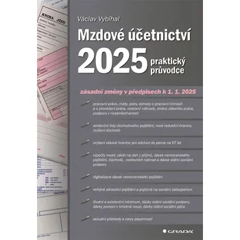 Mzdové účetnictví 2025: Praktický průvodce - Václav Vybíhal (2025, brožovaná)